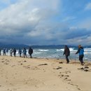 노르딕워킹 이미지