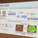 신라젠 "면역항암제 펙사벡 췌장암 등으로 적응증 확대" 이미지