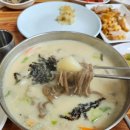 강원도 당일치기 인제 여행코스 내돈내산 하루코스 기적의도서관, 인제막국수, 소양강둘레길, 규움카페