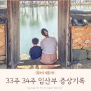 33주 34주 증상 기록 임산부 배크기 천안 태교여행 풍자 또간집 충남집 순대국밥 먹부림 밀양 위양지 산책