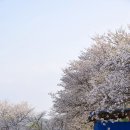 금락정(부용리) 화장실 이미지