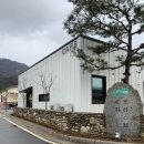 가평 애견전용 캠핑장 아워포레스트 17번 내돈내산