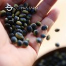 선비농장 이미지