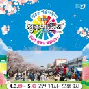 도경푸드 | 🌸청주🌸무심천 벚꽃축제 실시간 | 푸드트럭 먹거리 | 가수공연 | 행사 총정리