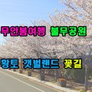 불무공원 티스토리