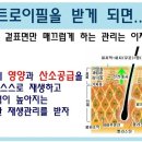 사계절 피부샵