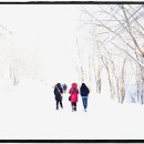 도전목장 이미지