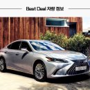 스테디독 이미지