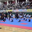 기백태권도체육관 이미지