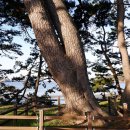 여인송빌리지 이미지