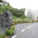 서대산약용자연휴양림 이미지