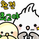 구내 안경원 이미지