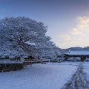 서정적인 이미지