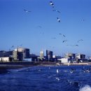 (주)태성전력 이미지