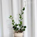 동글댕글 이미지