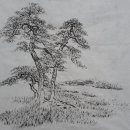 한국화(중급) 이미지