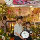 신안정판사