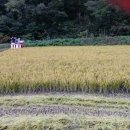 정은농장 이미지