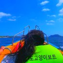 우도에 가면 | 제주 우도 동굴보트 투어 우도올레보트 예약 가격 시간