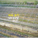 노곡초교 이미지