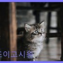 청구동 | 신당동 고시텔 추천 조이고시원 접근성 뛰어난 최적 위치