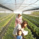 마일농장 이미지