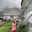 도호농장 이미지