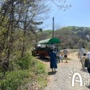 성형목장 이미지