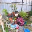 예원농장 이미지