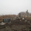 전남 완도군 청산도 보적산(330m)산행및 슬로우길,유채꽃관광. 이미지