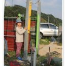 대문농장(2) 이미지