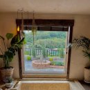 모망드레브 이미지