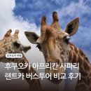 렌트투어 | 후쿠오카 사파리 투어 아이랑 아프리칸사파리 입장권 렌트카 여행 버스투어 후기 근교여행
