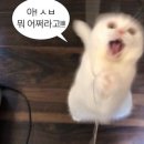 룰루랄라 이미지