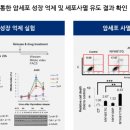 (주) 엘리시움파트너스