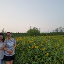 한강당구장 이미지