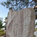 학마을발전소 Daum카페