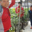 춘아농장 이미지