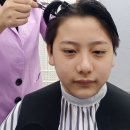새로이숲 네이버블로그
