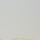 울림한의원 이미지