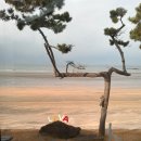 힐링풀빌라펜션 | [보령] 겨울 힐링 여행 보령 독채 펜션 - 라바풀빌라 이용 후기