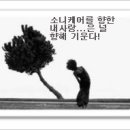해피케어컴