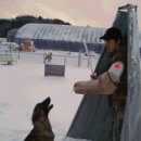 즐거운 애견 이미지