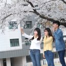 강원대 정문 - 강원대삼거리 이미지