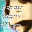 4117 이미지
