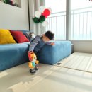 오 마이 캣 이미지