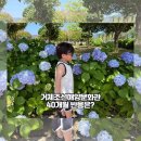 부산조선해양기자재 | 40개월 아이와 거제조선해양문화관🌊(수국까지 함께 보고 온 솔직 후기🙂)