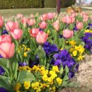 순천만정원하우스 이미지