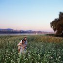 will be better 이미지