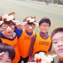 용인대필승태권도 이미지